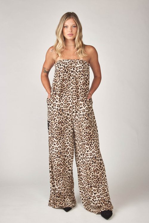 DREAM overall