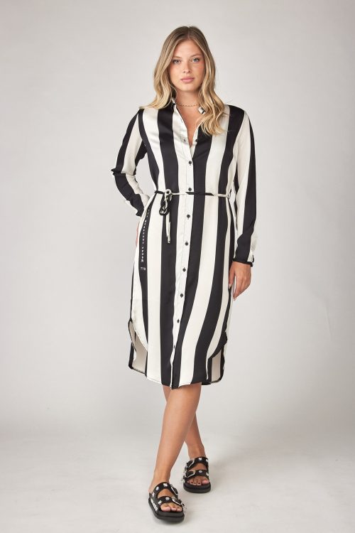Striped buttoned satin dress THING