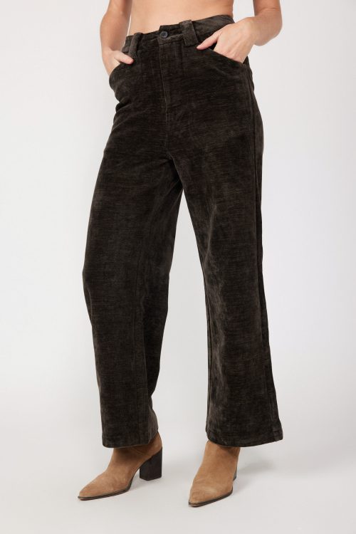 Tailored velvet pants 770